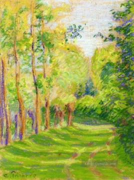Camille Pissarro Werke - Landschaft bei Saint Charles Camille Pissarro